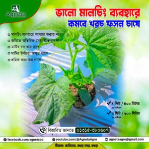 Read more about the article মালচিং পেপারে সবজি ও ফসল চাষাবাদের গুণাবলী