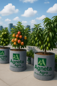 Read more about the article ছাদ কৃষি ও আদা চাষের জন্য জিও ব্যাগ