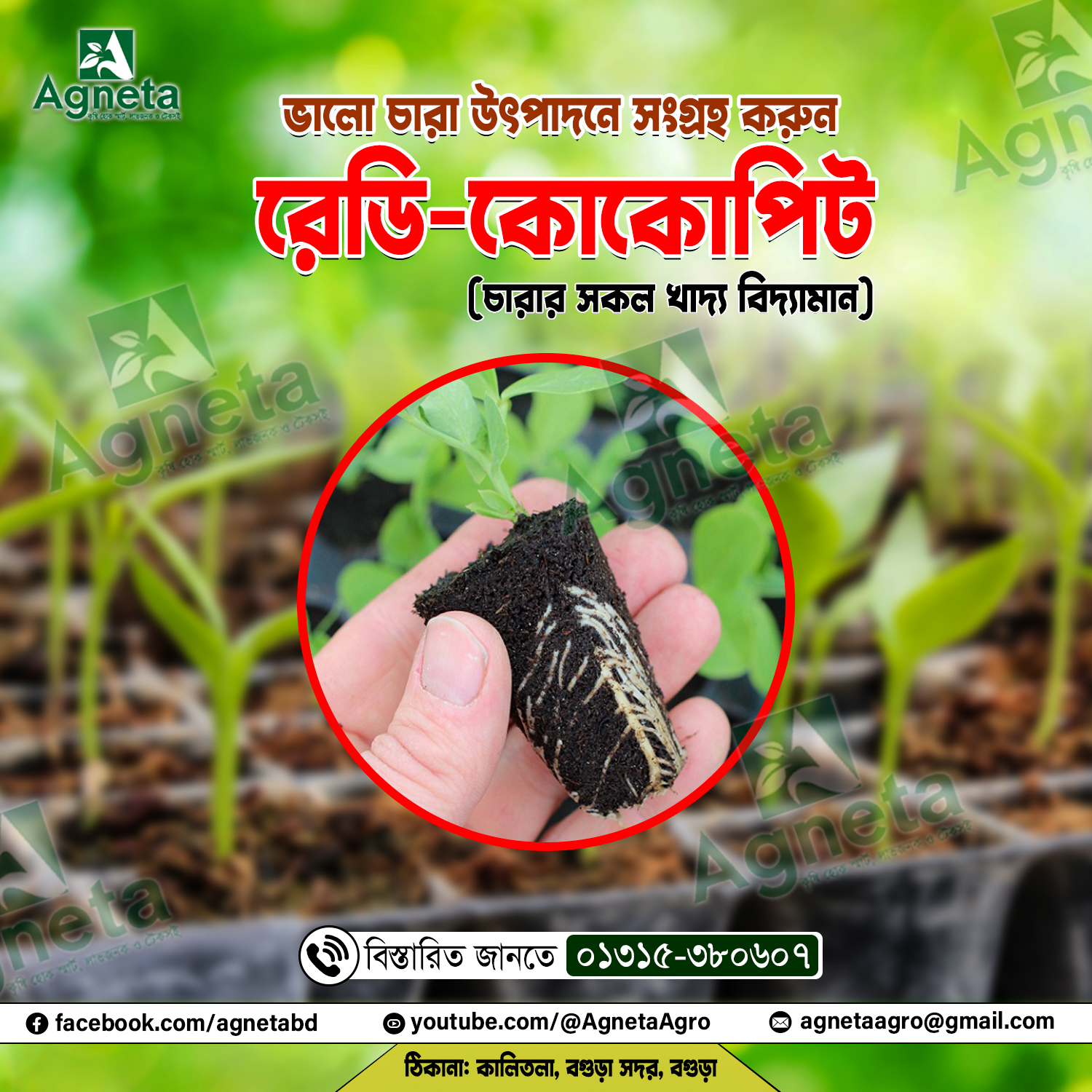 You are currently viewing চারা তৈরি করতে সমস্যা হচ্ছে ? সহজ সমাধান সিডলিং ট্রে ও রেডি কোকোপিট!