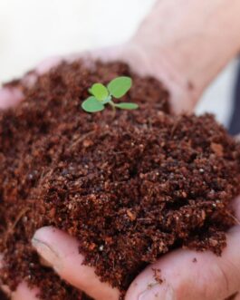 কোকোপিট ৫ কেজি ব্লক (Cocopeat 5 Kg Block)