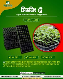 104 সেল সিডলিং ট্রে (চায়না)