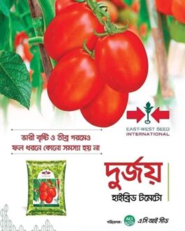 দুর্জয় ( টমেটো )-৫ গ্রাম – Hybrid Tomato Seeds Durjoy