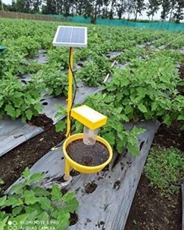 সৌর আলোক ফাঁদ (Solar Light Trap)