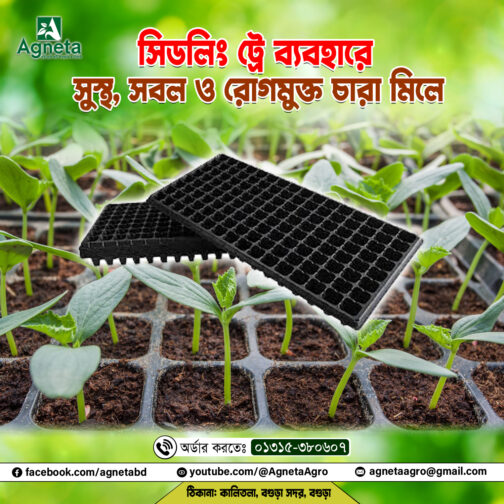 72 সেল সিডলিং ট্রে (চায়না)
