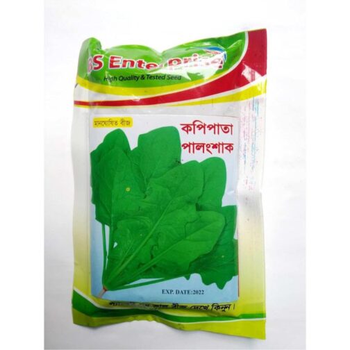 পালংশাক - কপি পালং