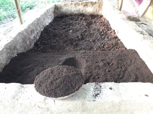 ট্রাইকো-কম্পোষ্ট সার ৫০ কেজি - Trico Compost (Premium) - Image 3