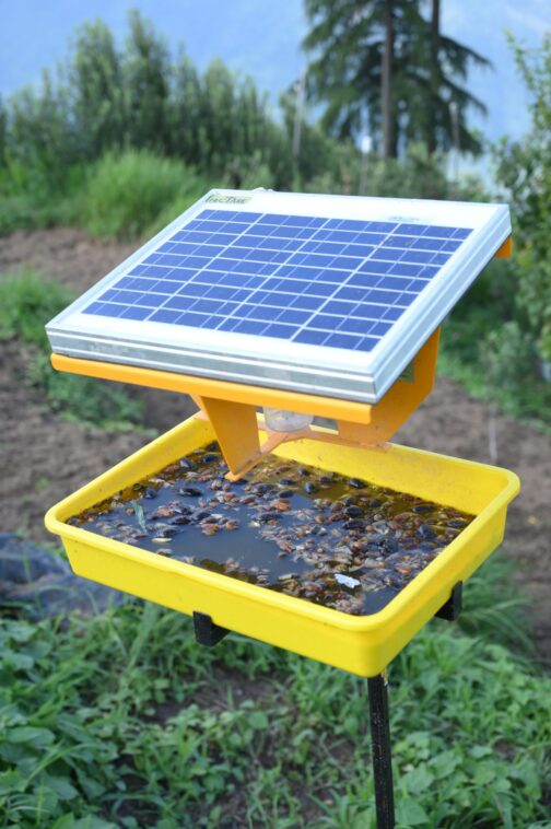 সৌর আলোক ফাঁদ (Solar Light Trap) - Image 4
