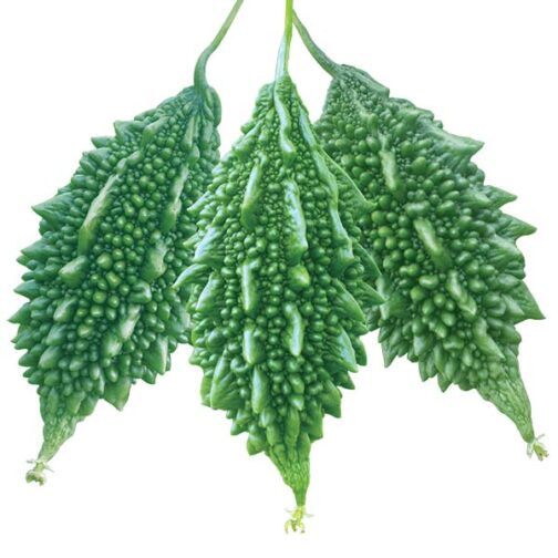 করলা বীজ - Image 3