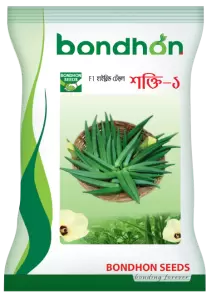 ঢেঁড়সের বীজ