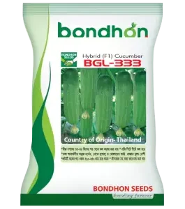 শসার বীজ