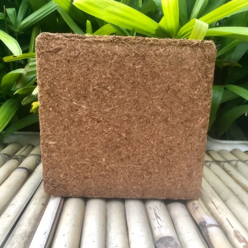 কোকোপিট ৫ কেজি ব্লক (Cocopeat 5 Kg Block) - Image 3