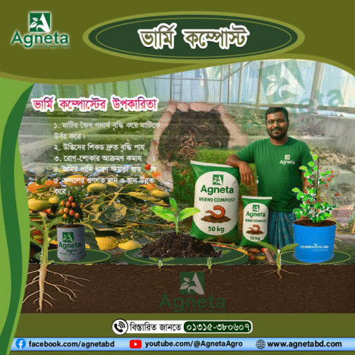 ভার্মিকম্পোস্ট – মাটির প্রাণ ফিরিয়ে আনার জাদু
