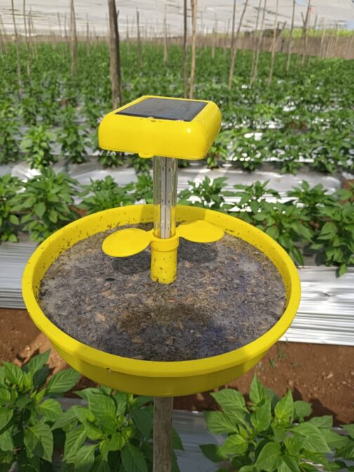 সৌর আলোক ফাঁদ (Solar Light Trap) - Image 3