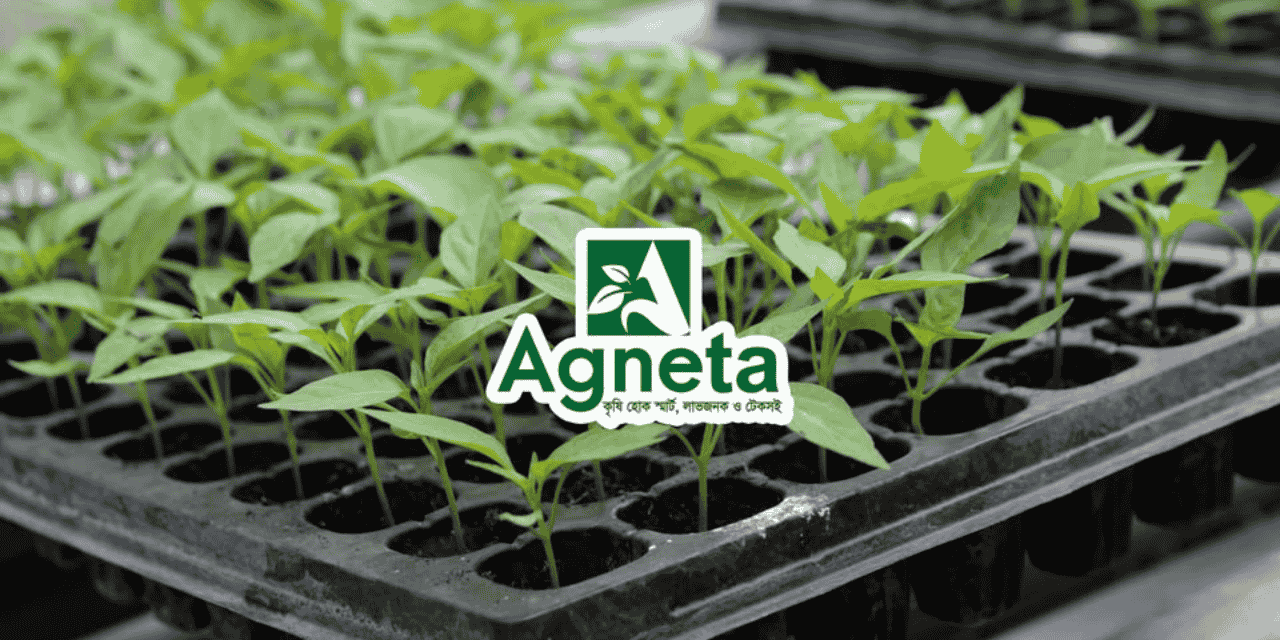 agneta slider 1