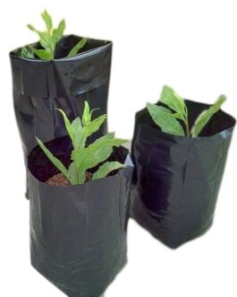 নার্সারি কালো পলিথিন (Black Polythene) – প্রতি কেজি