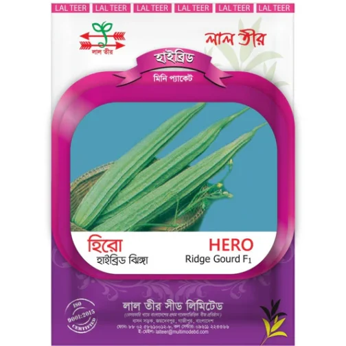 ঝিঙ্গার বীজ