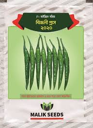 বিজলি - ( ১০ গ্রাম )- F1 হাইব্রিড মরিচ বিজলী