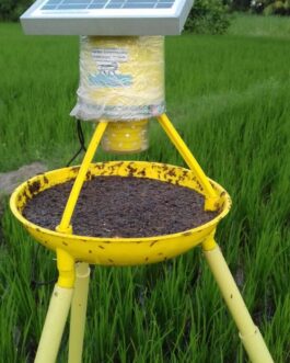 সৌর আলোক ফাঁদ (Solar Light Trap)