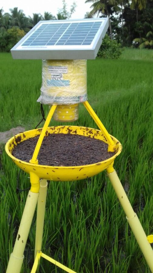 সৌর আলোক ফাঁদ (Solar Light Trap)