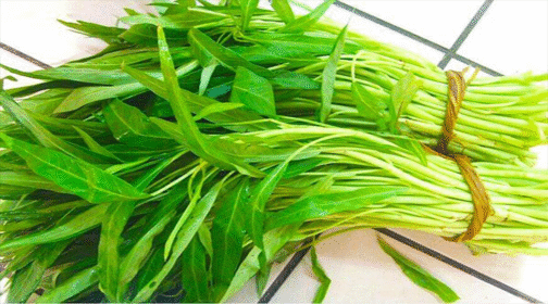 কলমি শাক - বারি-১ - Image 3
