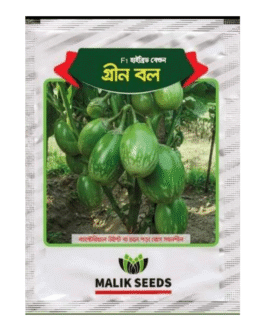 গ্রীন বল – বেগুন মালিক সিডস ( ৫ গ্রাম )-F1 হাইব্রিড বেগুন গ্রীন বল