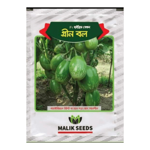 গ্রীন বল - বেগুন মালিক সিডস ( ৫ গ্রাম )-F1 হাইব্রিড বেগুন গ্রীন বল