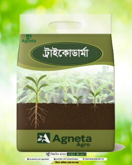 ট্রাইকো ডার্মা – ফসলের সুস্থ বৃদ্ধির প্রাকৃতিক সমাধান!