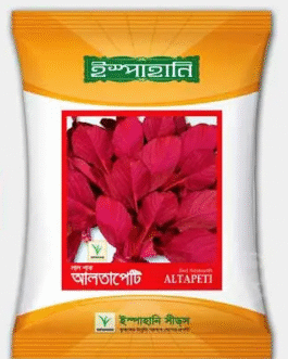 লাল শাকের বীজ