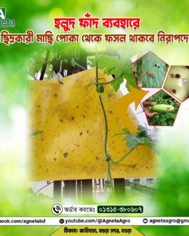 হলুদ আঠালো ফাঁদ - Yellow Sticky Trap ( ৮ x ১২ ইঞ্চি )