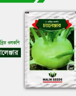 হাইব্রিড ওলকপি