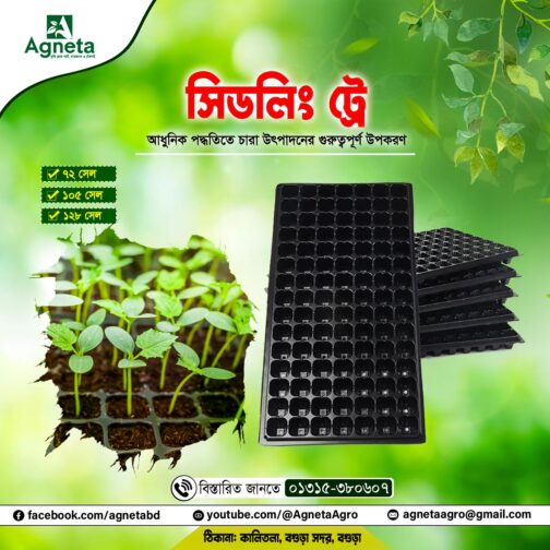 ১০৫ সেল সিডলিং ট্রে (বাংলাদেশি)
