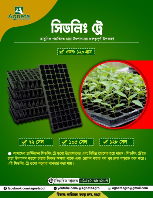 ১২৮ সেল সিডলিং ট্রে (বাংলাদেশি)