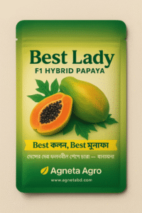 Best ফলন, Best মুনাফা - Agneta Best Lady পেঁপে বীজ