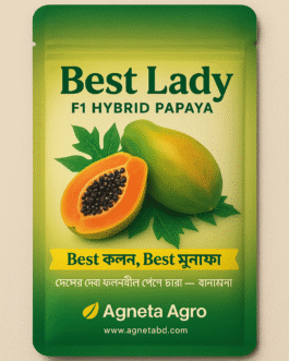 বেস্ট লেডি (Best Lady- F1 Hybrid Papaya) Best ফলন, Best মুনাফা -পেঁপে বীজ