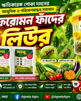 ফেরোমন ফাঁদে ফল ও সবজির ক্ষতিকর পোকা দমন করুন – বিষমুক্ত ও নিরাপদ কৃষির আধুনিক সমাধান